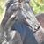Linda LeValley-West's profile image