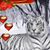 Luz Maria Herrera's profile image