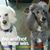 Nancy McAtee's profile image