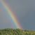 Marianne Chamberlain Deveno's profile image