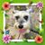 Claudia Calhoun's profile image