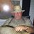 David Saylor's profile image