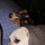 Mark Sibley's profile image