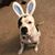 Diann Russell Woodmansee's profile image