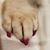 Carmen Anderson's profile image