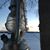 Jennifer Collins Brever's profile image
