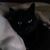 Patty Wilson's profile image