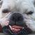 Jeannine Morroney-Teets's profile image