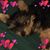 Theresa Veilleux's profile image