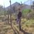 Elizabeth Santibañez's profile image