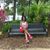 Wanda Howard's profile image