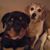 Matt Raus's profile image