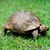 Keith Whitelock's profile image