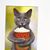 Robin Sherman's profile image