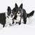 Patti Sumner's profile image