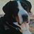 Elaine Kelso's profile image