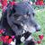 Tracy A Williams's profile image