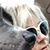 DeAnna Rawson's profile image