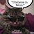 Danni Crotteau's profile image