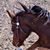 Arlyn LaBair's profile image
