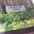 Dawn Cooke's profile image
