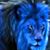 Ken Glidden's profile image