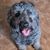 Kelly Cowper Bischoff's profile image
