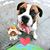Angie Cole's profile image