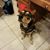 Tessie Uranga's profile image