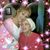 Cindyd Hart's profile image