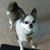 Francine Robinson's profile image