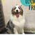 John Sarsfield's profile image
