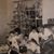 Deb McClain Sipes's profile image