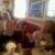 Gerald Savoy's profile image