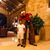 Binod Acharya's profile image