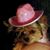 Donna Bella's profile image