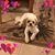 Karen Yeo's profile image