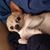 Jodi Brooks Schermerhorn's profile image