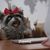 Maria Moline's profile image