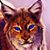 Ginger Counts's profile image