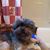 Mike N Mary McDaniel's profile image