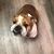 Kayla Marie Evink's profile image