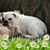 Michelle Weidner's profile image