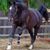 Sylvia Kantas's profile image