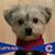 Pistachio Pup's profile image