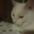 Beth Mathews's profile image