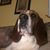 Salvatore Cecere's profile image