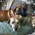Gretchen Bowers Munafo's profile image