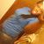 Adonnaka Wherry's profile image