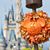 Amanda Schacht's profile image
